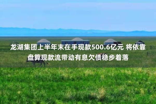 龙湖集团上半年末在手现款500.6亿元 将依靠盘算现款流带动有息欠债稳步着落