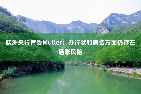 欧洲央行管委Muller：办行状和薪资方面仍存在通胀风险