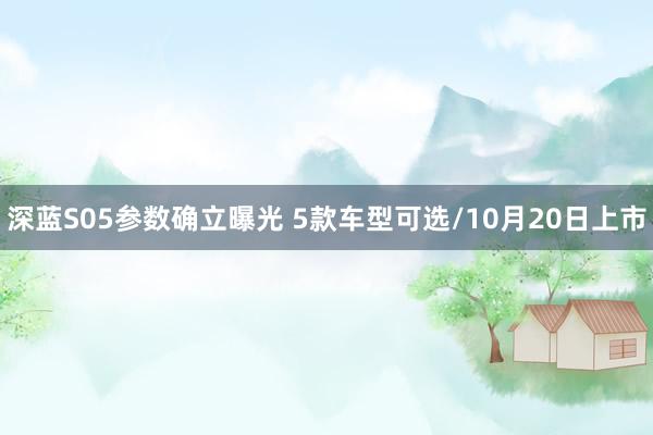 深蓝S05参数确立曝光 5款车型可选/10月20日上市