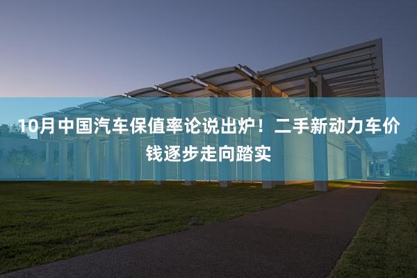 10月中国汽车保值率论说出炉！二手新动力车价钱逐步走向踏实