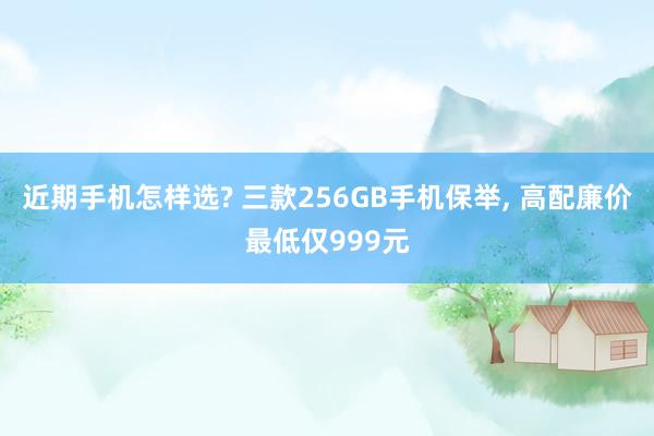 近期手机怎样选? 三款256GB手机保举, 高配廉价最低仅999元