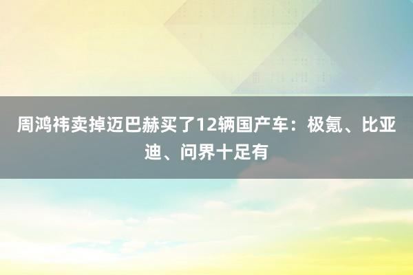 周鸿祎卖掉迈巴赫买了12辆国产车：极氪、比亚迪、问界十足有