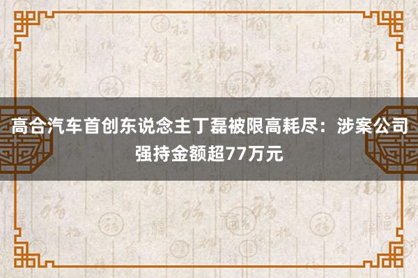 高合汽车首创东说念主丁磊被限高耗尽：涉案公司强持金额超77万元