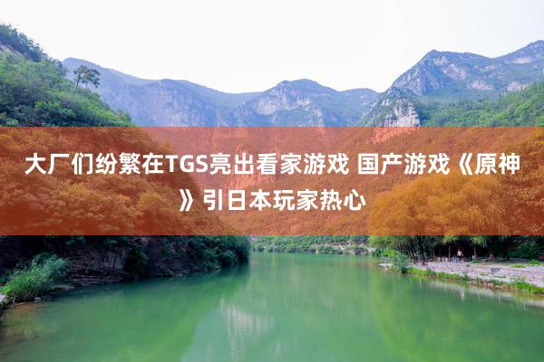 大厂们纷繁在TGS亮出看家游戏 国产游戏《原神》引日本玩家热心